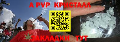 твердый Пугачёв