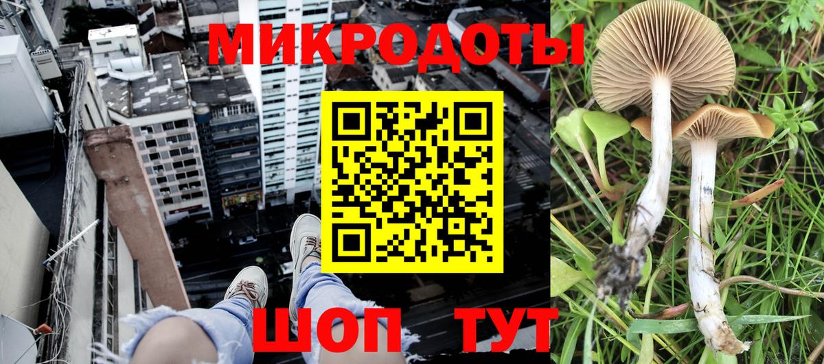 Галлюциногенные грибы Psilocybe  Вход с VPN  Скопин  Псилоцибиновые грибы GOLDEN TEACHER 